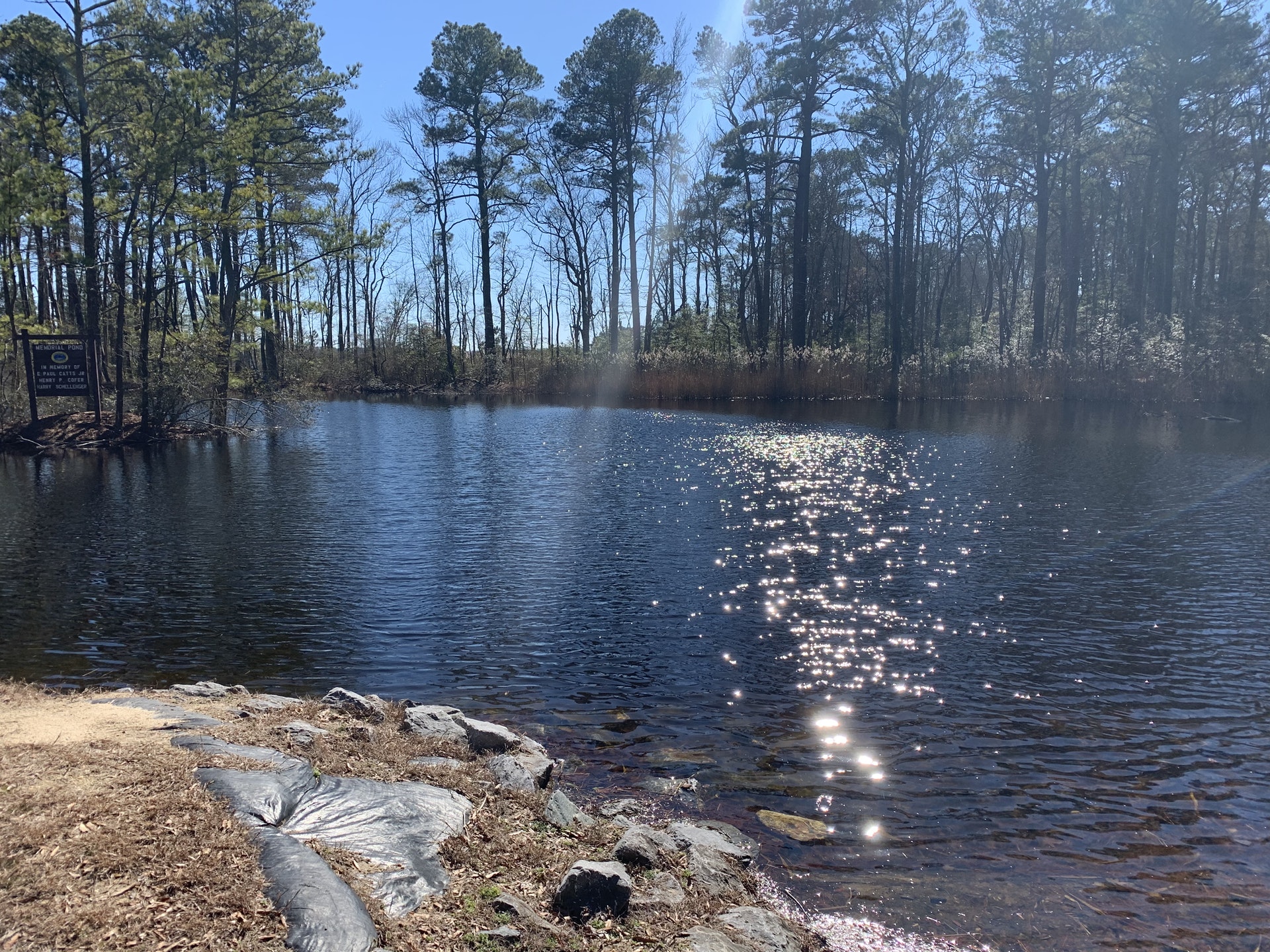 Assawoman Bay Wild Life Area